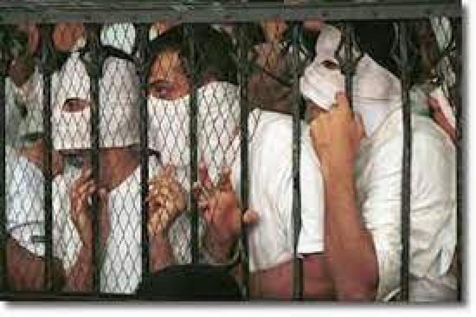 المدعى عليهم في محاكمة كوين بوت ينتظرون في المحكمة حتى يُقرأ الحكم ، القاهرة ، 14 نوفمبر / تشرين الثاني 2011: تصوير نوربرت شيلر
