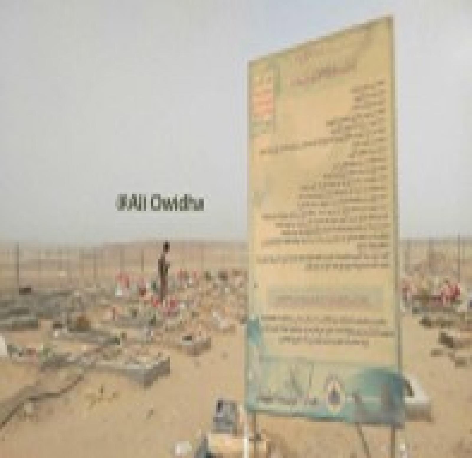 تحويل مساحة كبيرة من مدينة براقش الى مقابر لجماعة الحوثي  ، موقع المشهد اليمني ، 13 مارس 2016 