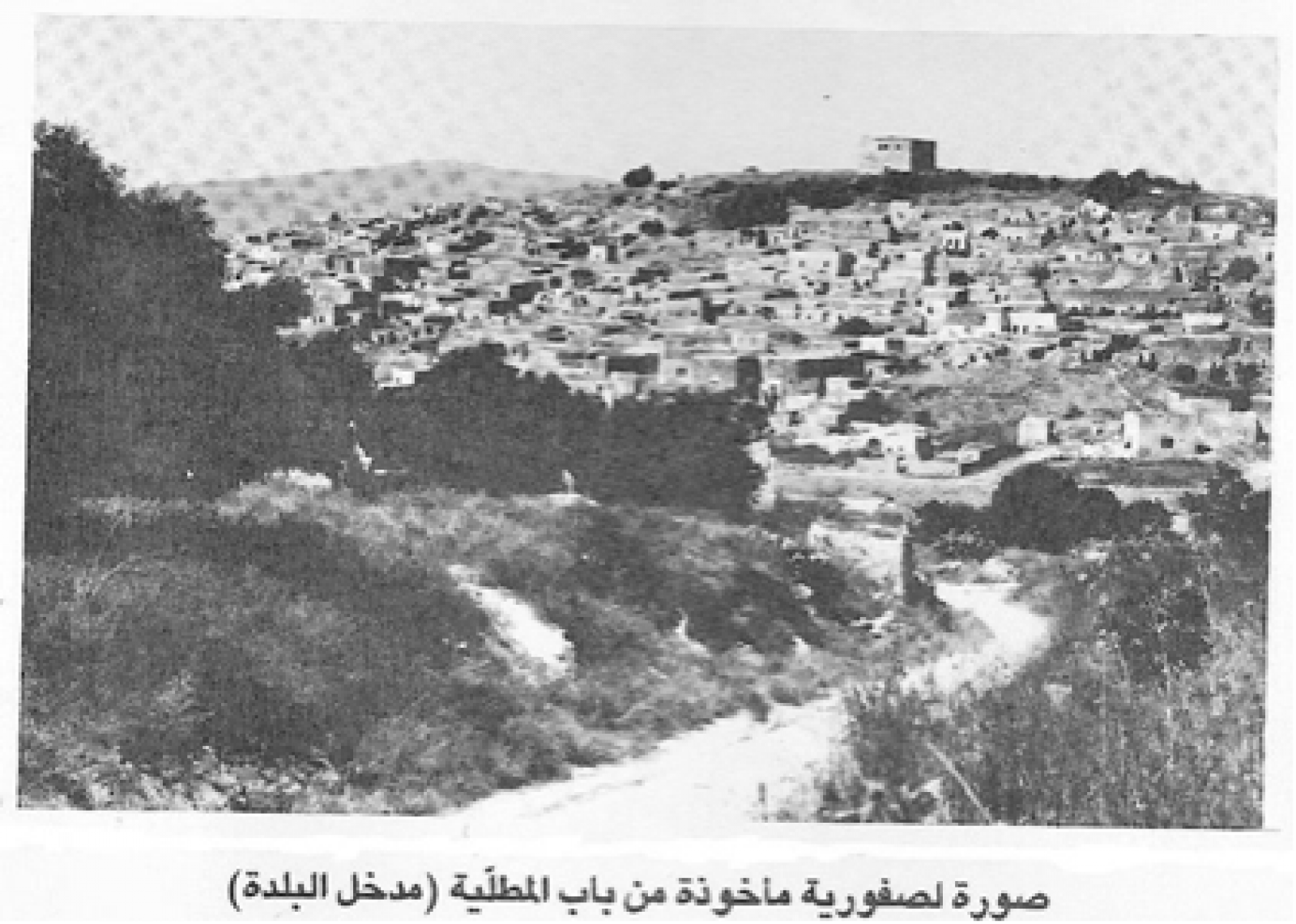 An old photo of Saffuriyya/ The entrance to the town, Zochrot website