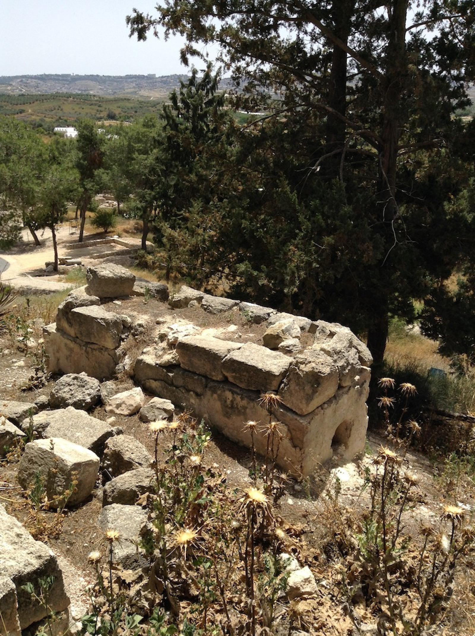 Tomb of Saffuriyya,  Zochrot